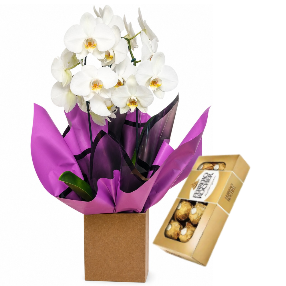 Arranjo Orqu�dea Branca com Ferrero 