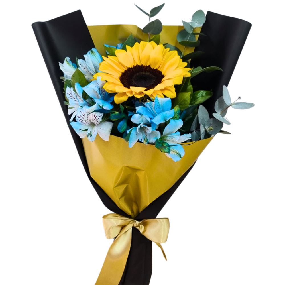 Girassol Para Presente